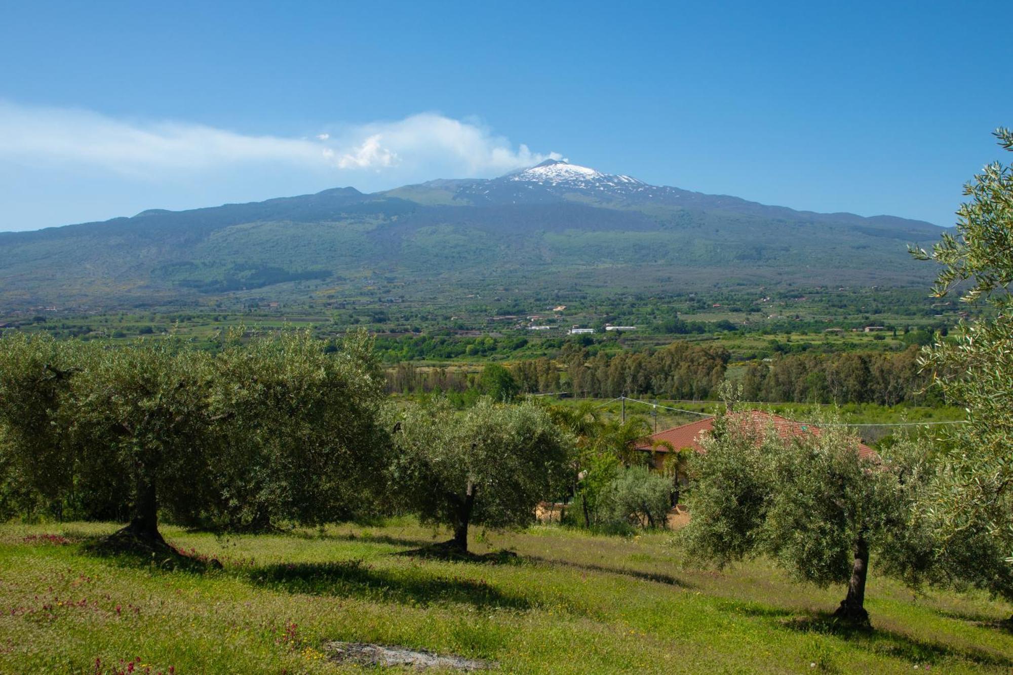 B&B Affittacamere Al Vulcanetto Moio Alcantara Zewnętrze zdjęcie